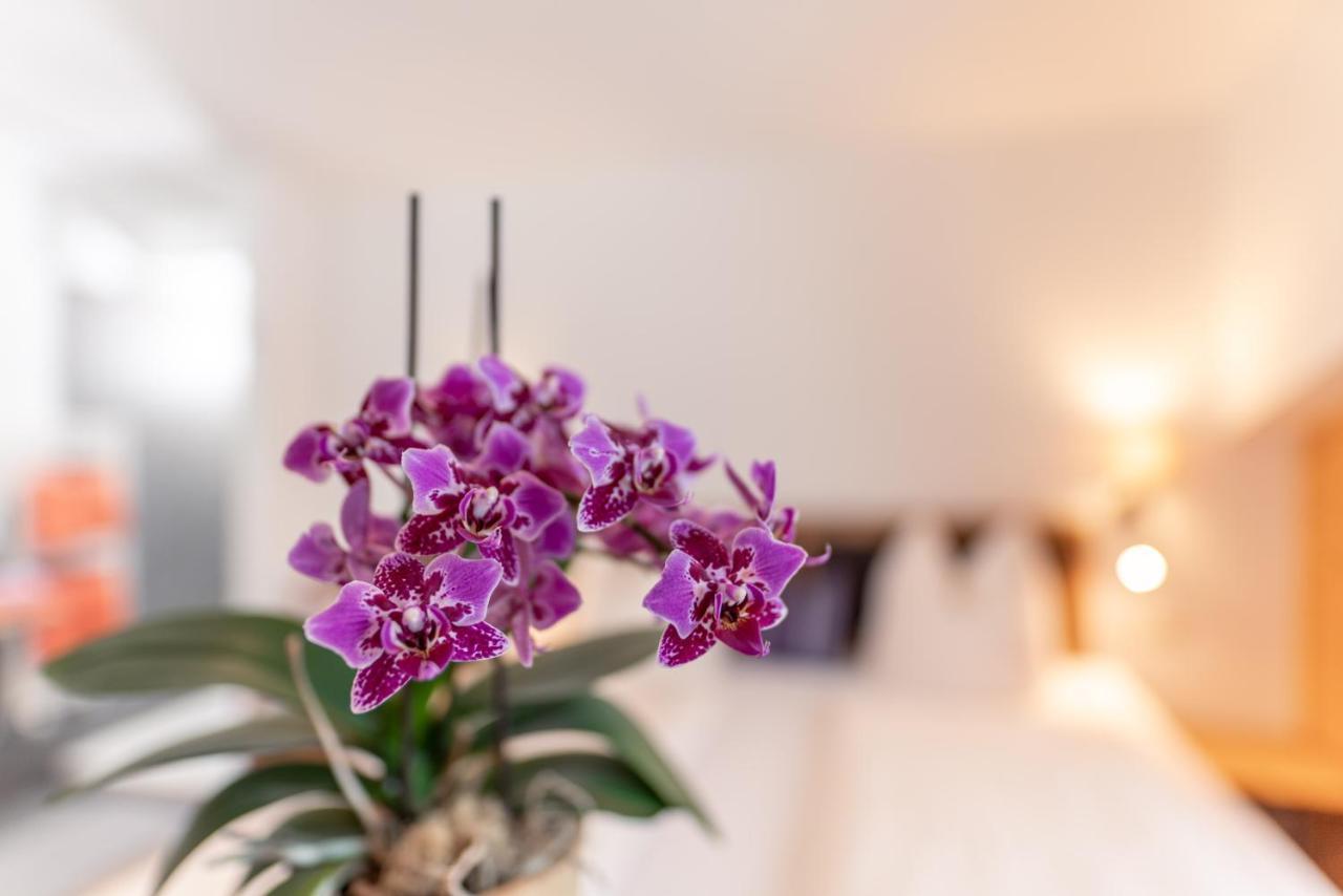 Aparthotel Wellnesshaus Reichelt Radstadt Zewnętrze zdjęcie
